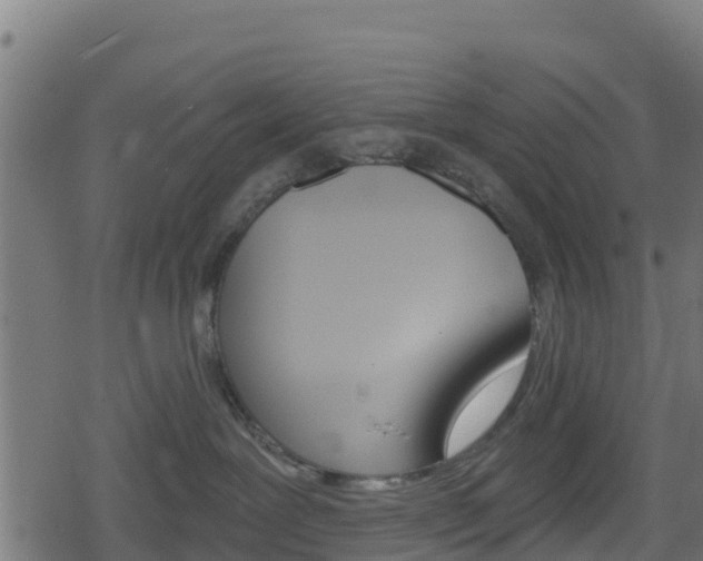 X0000078890239200611131038