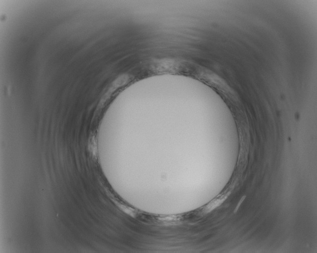 X0000078890240200611131038