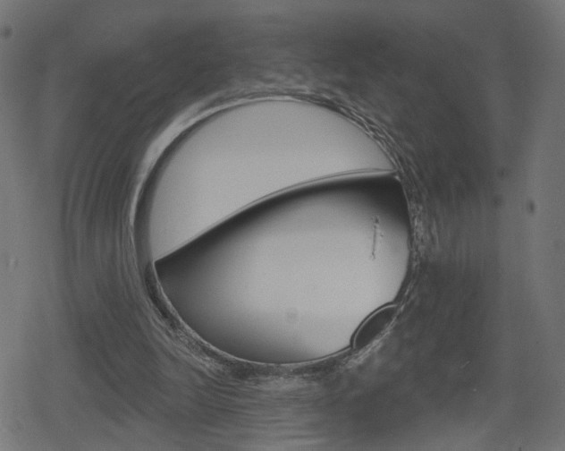 X0000078890246200611131037