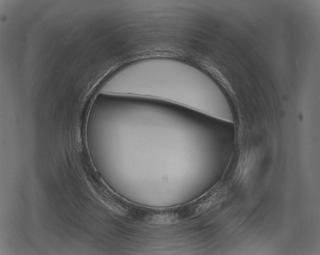 X0000078890251200611131037