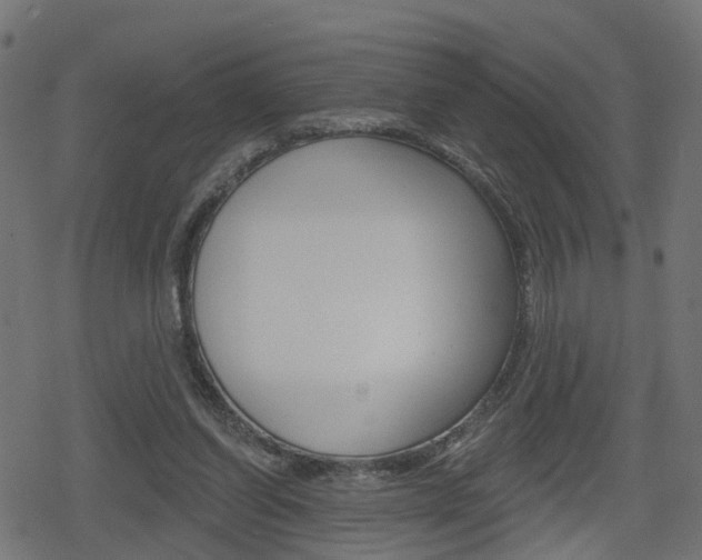 X0000078890254200611131037