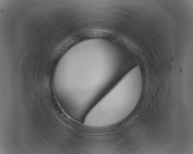 X0000078890258200611131037