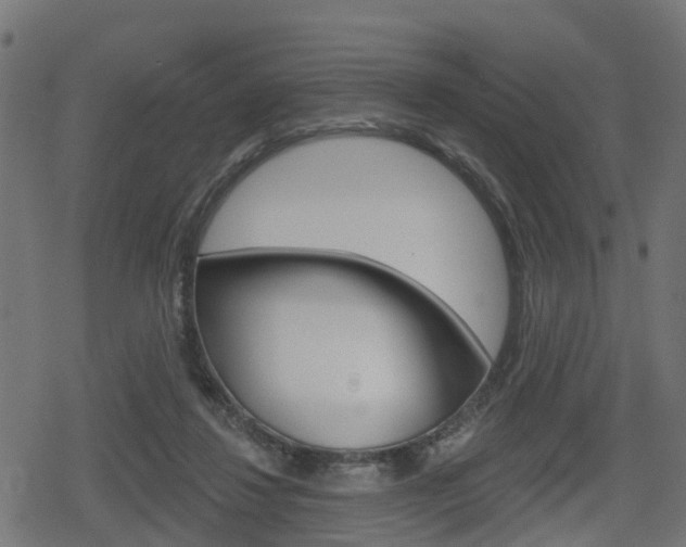 X0000078890260200611131037