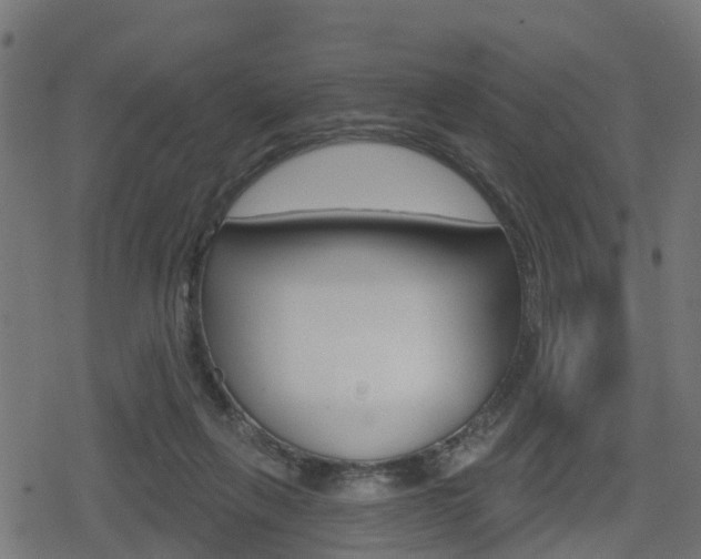 X0000078890263200611131037