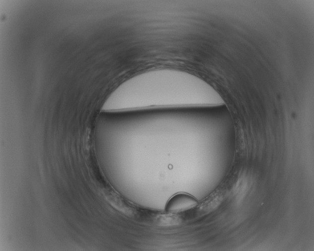 X0000078890275200611131037