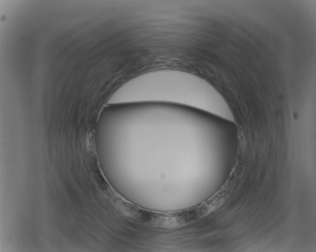 X0000078890276200611131037