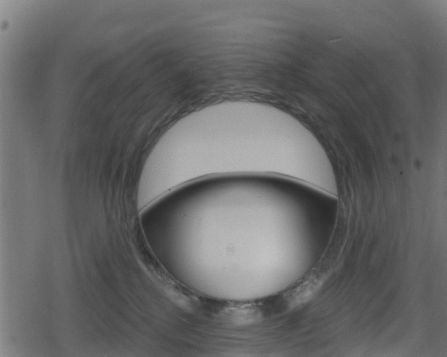 X0000078890280200611131038