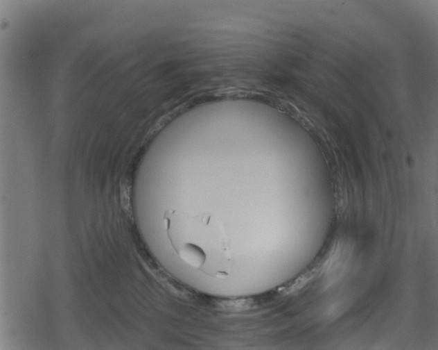 X0000078890281200611131038