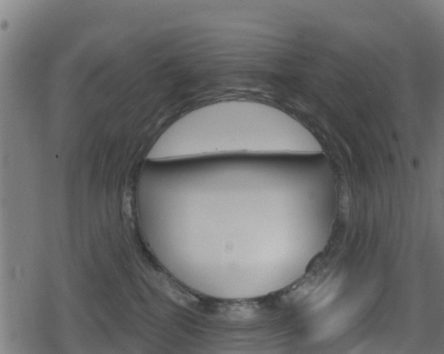 X0000078890282200611131038