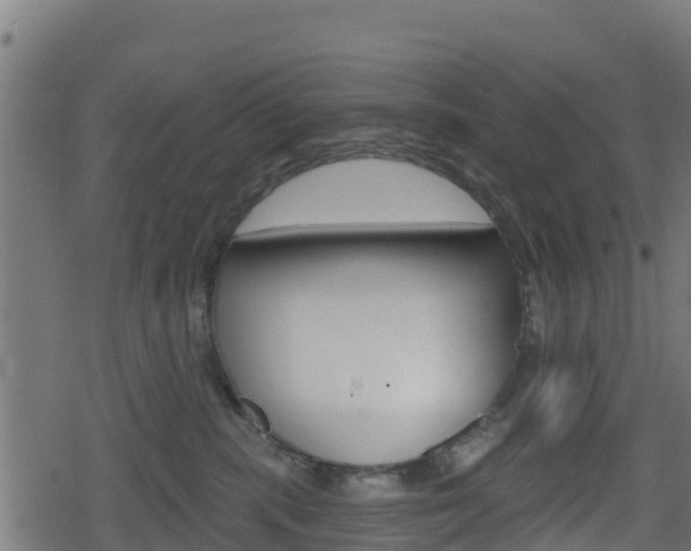 X0000078890283200611131038