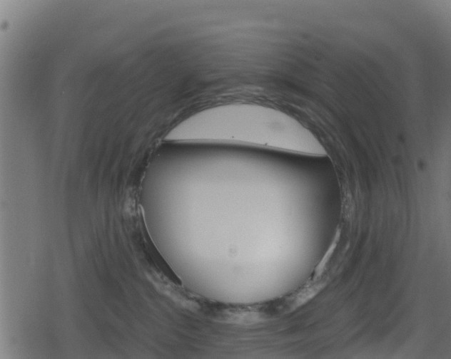 X0000078890284200611131038