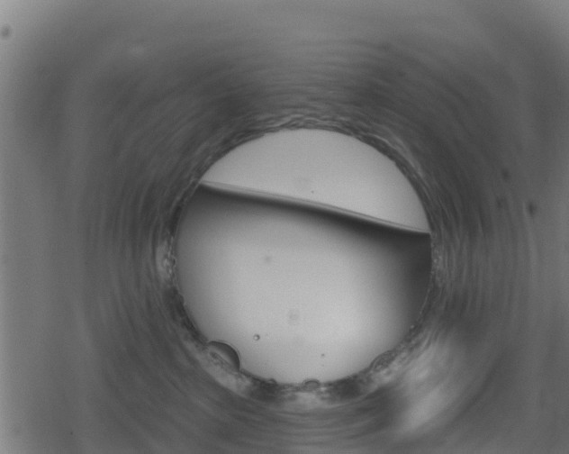 X0000078890285200611131038