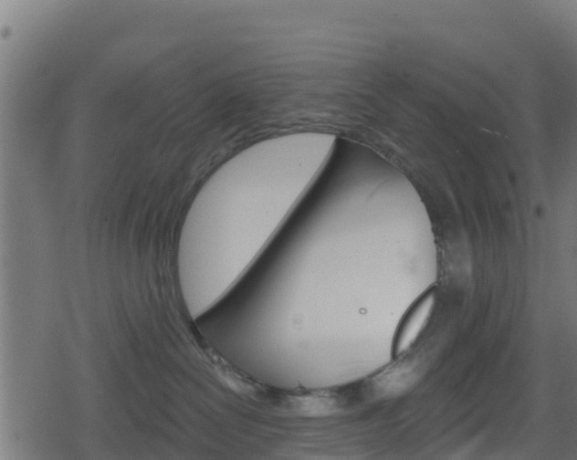 X0000078890286200611131038