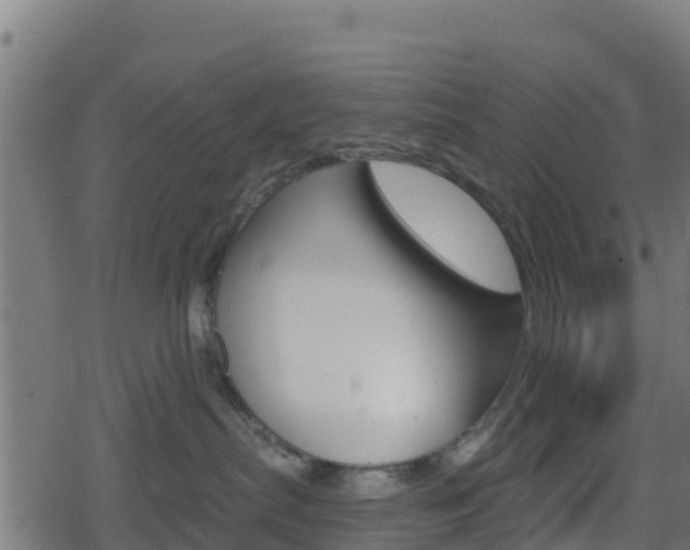 X0000078890287200611131038