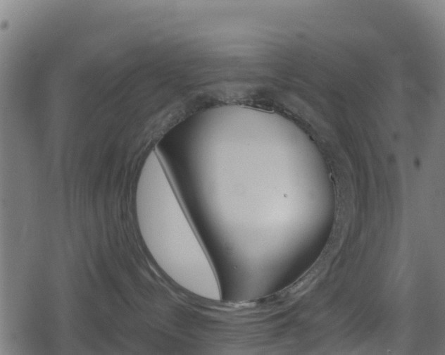 X0000078890288200611131038