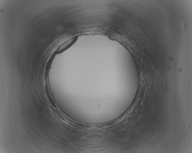 X0000078890290200611131037