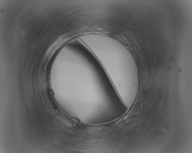 X0000078890291200611131037