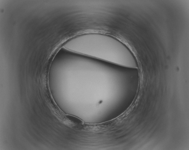 X0000078890297200611131037