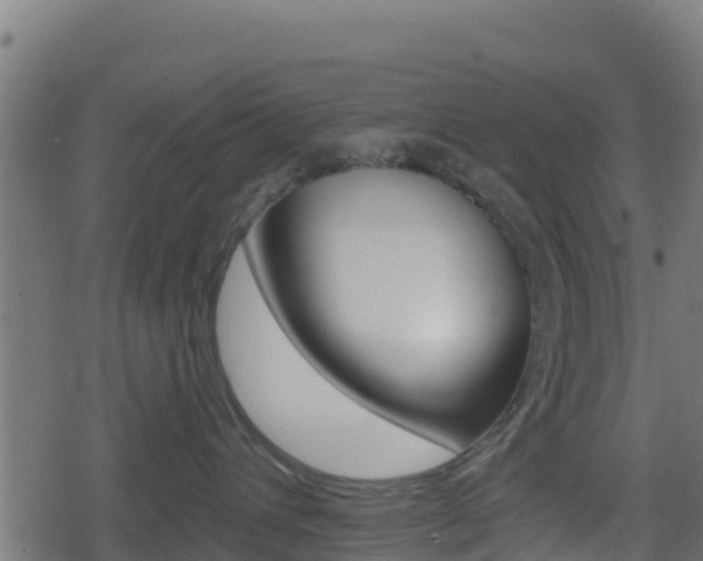 X0000078890432200611131035
