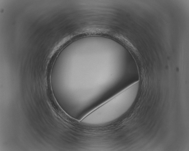 X0000078890488200611131034
