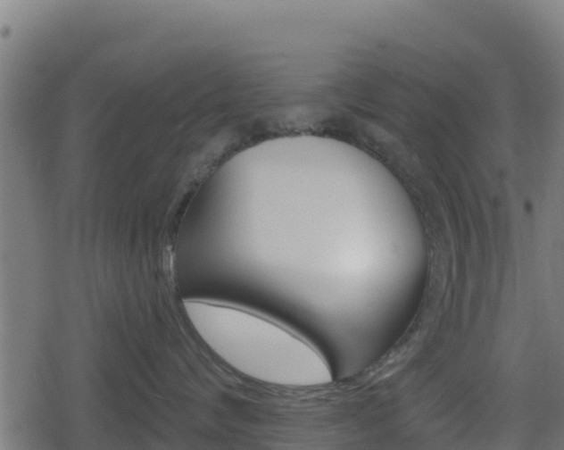 X0000078890624200611131031
