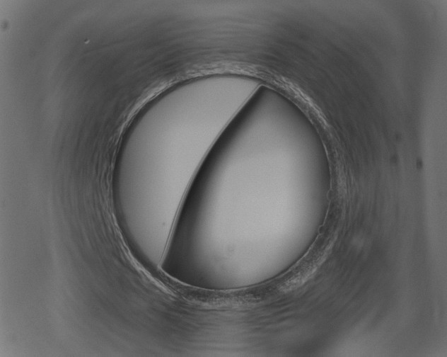 X0000078890625200611131031