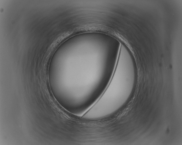 X0000078890673200611131031