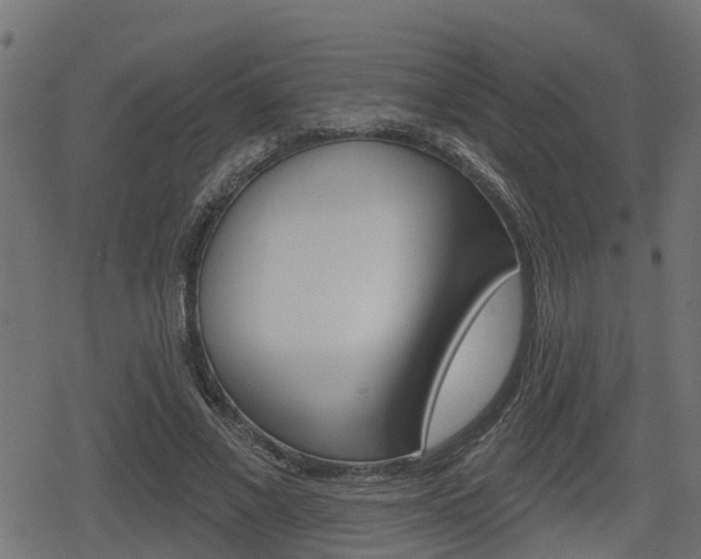 X0000078890685200611131030