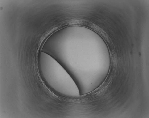 X0000078890721200611131029