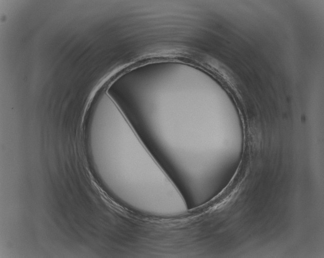 X0000078890779200611131029