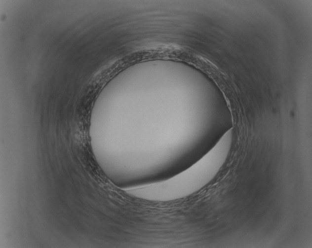 X0000078890869200611131027