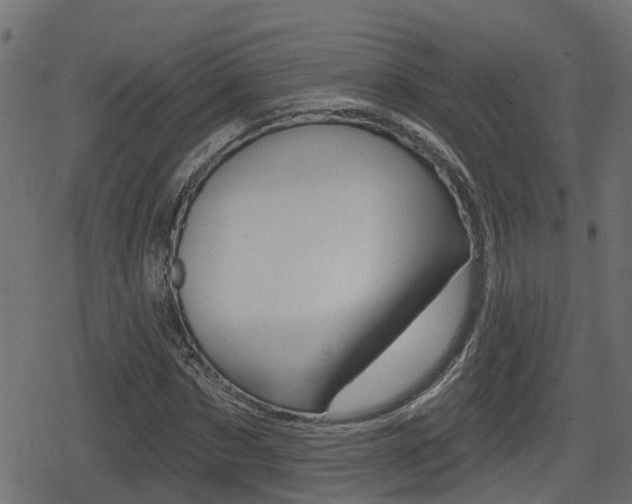 X0000078890873200611131027