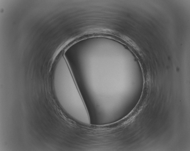 X0000078890877200611131027