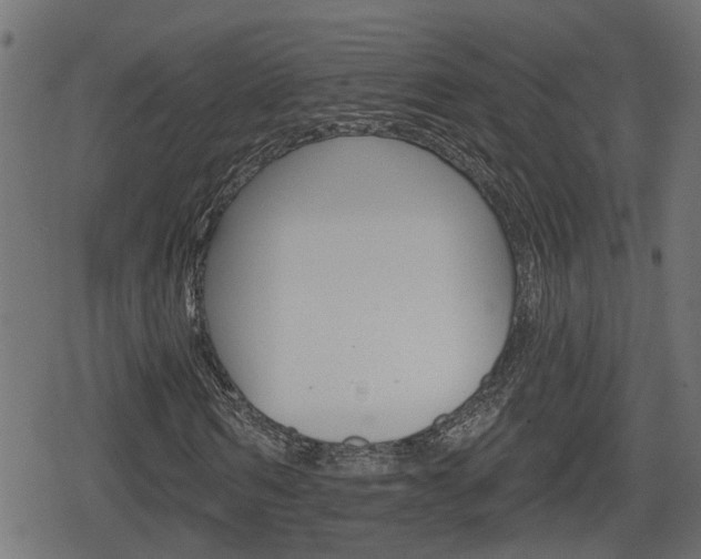 X0000078890962200611131026