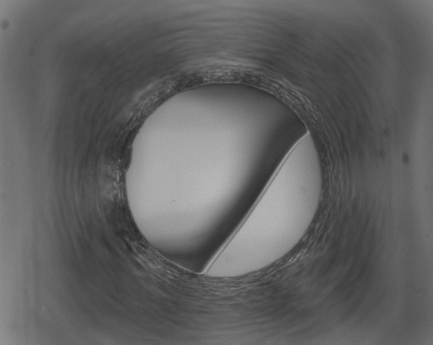 X0000078890964200611131026