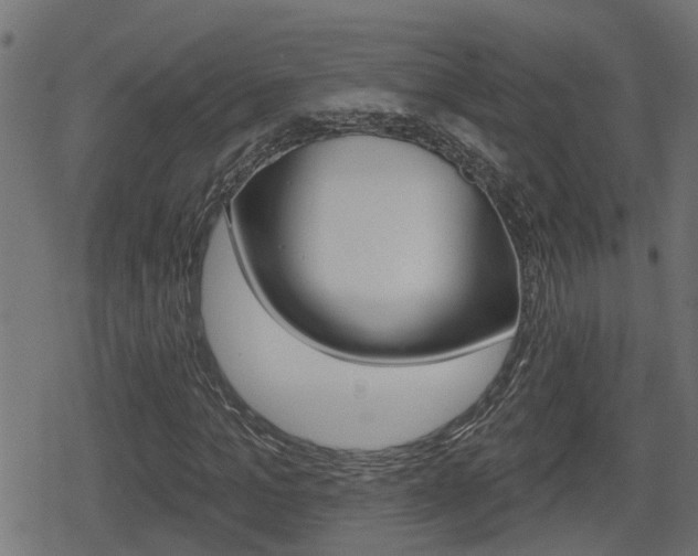 X0000078890965200611131026