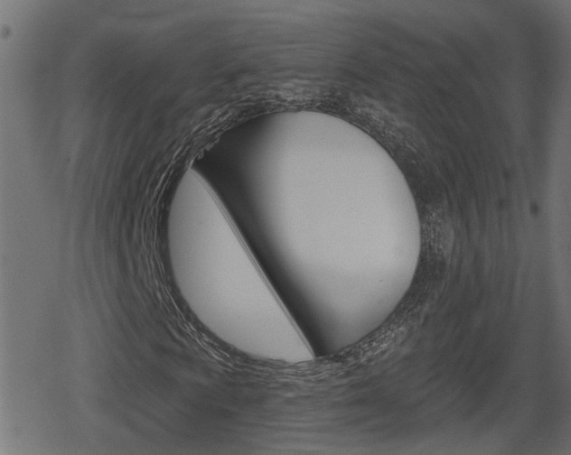 X0000078891009200611131024