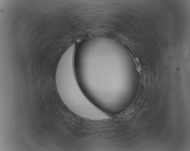 X0000078891010200611131024