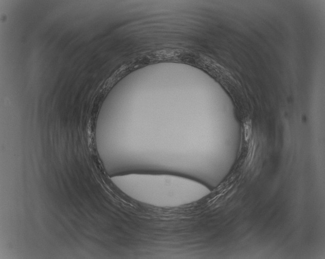 X0000078891011200611131024