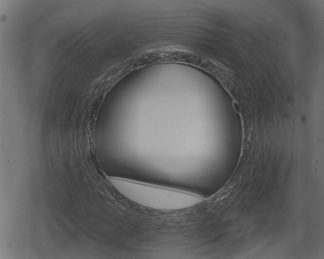 X0000078891014200611131024