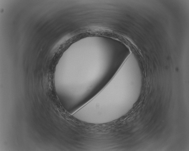 X0000078891016200611131024