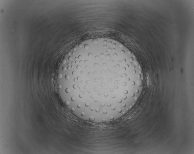 X0000078891059200611131024