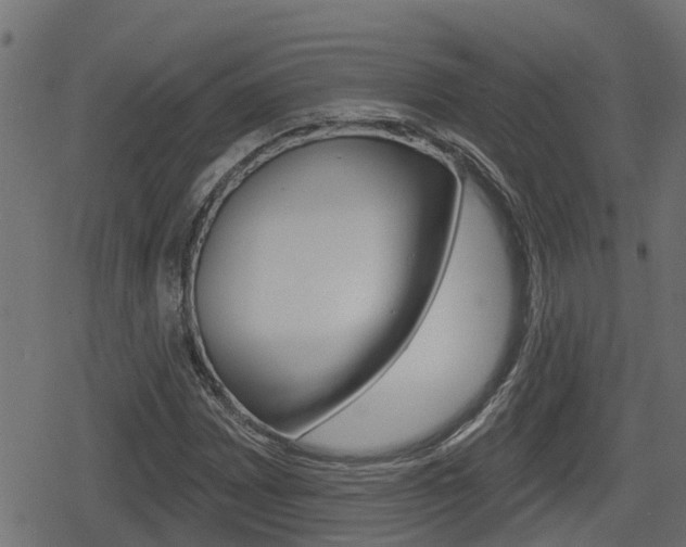 X0000078891065200611131024