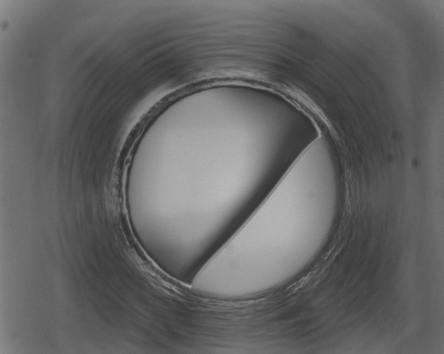 X0000078891068200611131024
