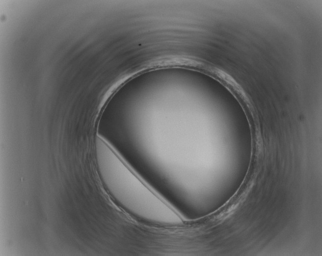X0000078891089200611131024