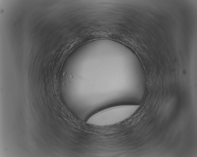 X0000078891201200611131021