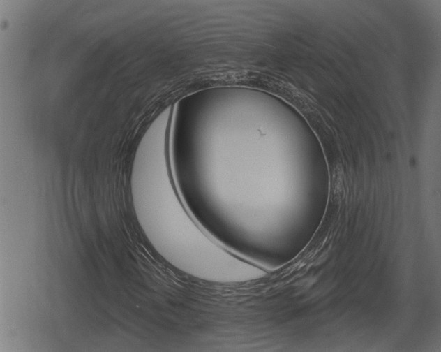 X0000078891202200611131021