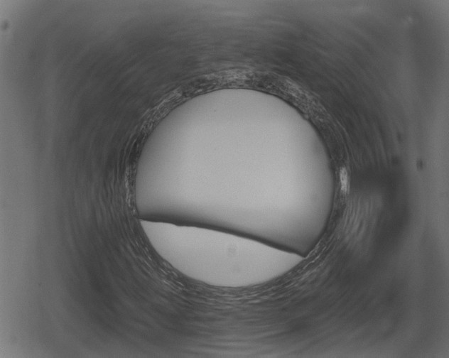 X0000078891203200611131021