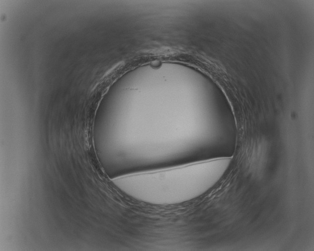 X0000078891205200611131021