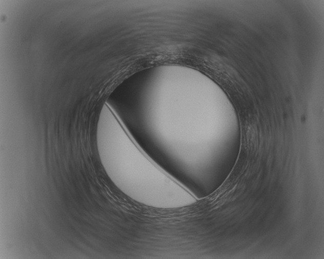 X0000078891250200611131021